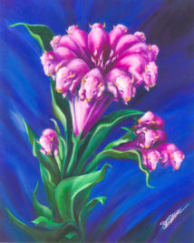 Buffa-lilly