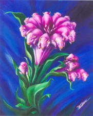 Buffa-lilly